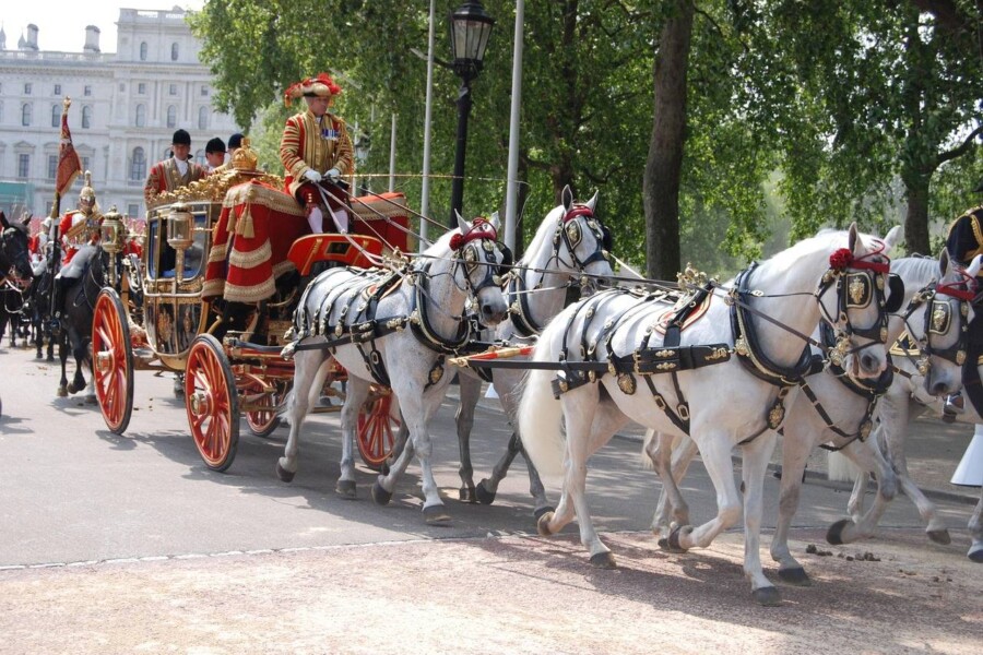 Ile zarabia coach w Polsce i od czego zależą jego zarobki?